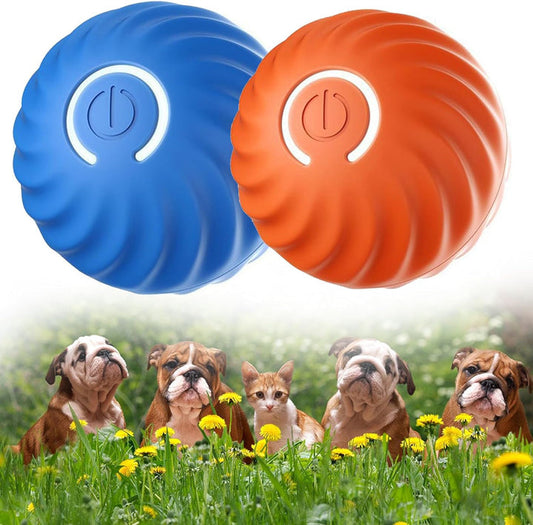 🎁Automatic Smart Teasing Dog Ball 🐶